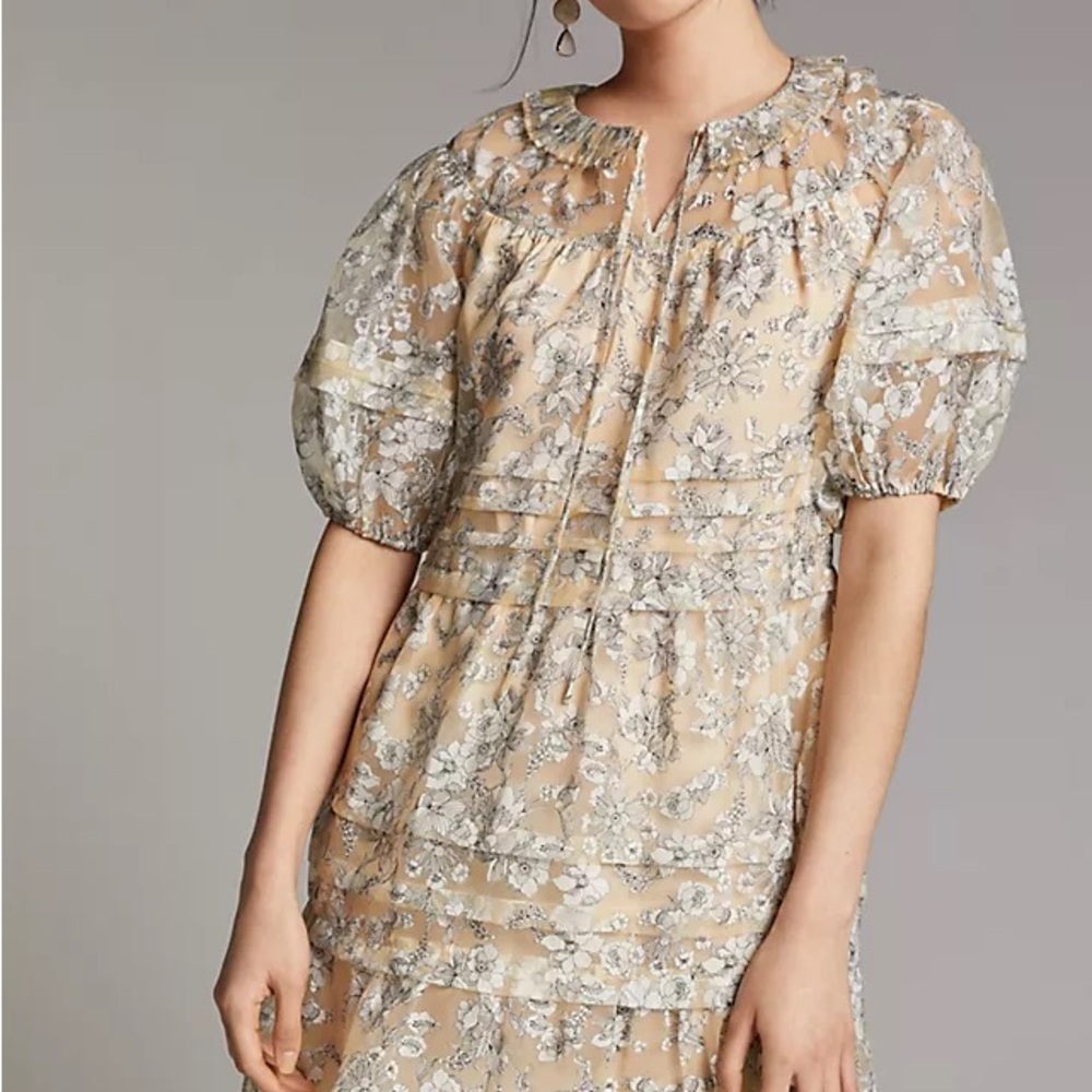 Anthropologie | Current Air | Floral Sheer Puff Sleeve Dress | Agnesse Mini